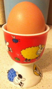 Chicken egg in egg cup