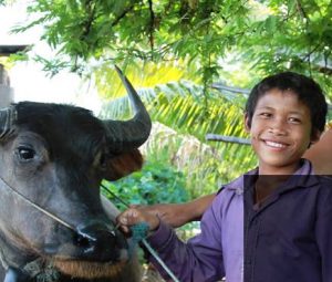 Boy with buffalo Oxfam Australia